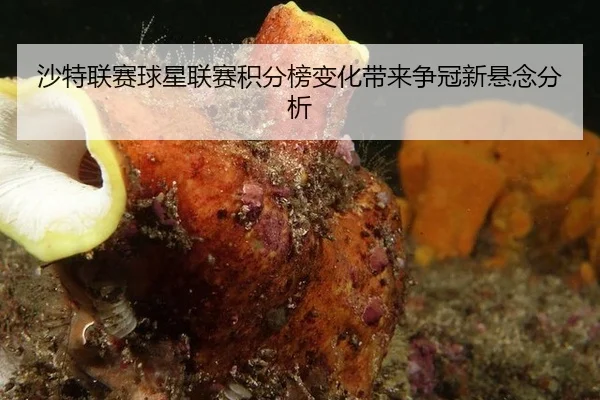 沙特联赛球星联赛积分榜变化带来争冠新悬念分析